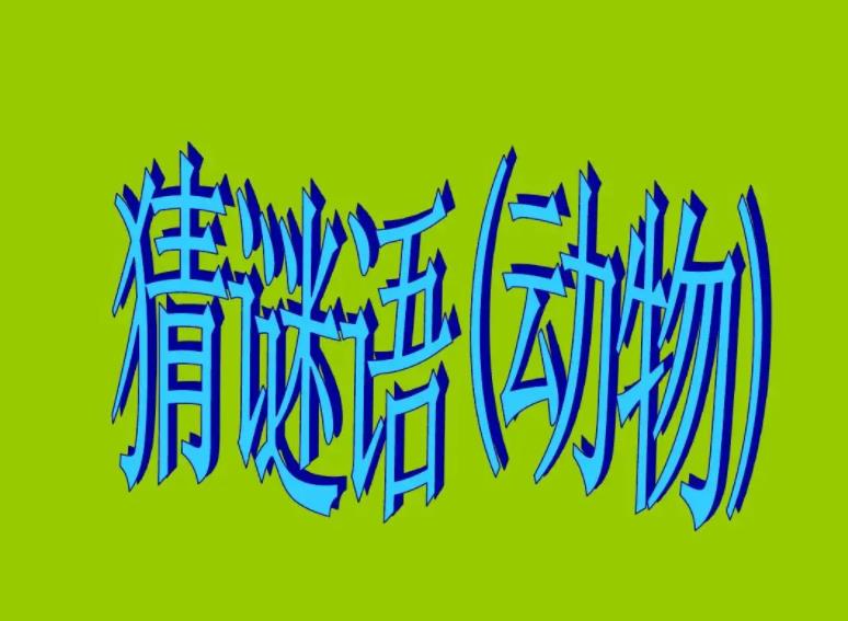 有關動物猜謎語