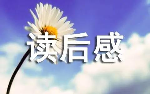 七年級《稻草人》讀后感300字10篇