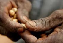 大學生貧困申請書1200字模板