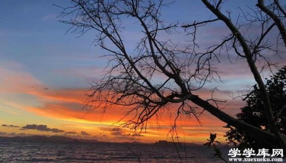 湛江東海島旅游攻略 湛江東海島有什么好玩景點