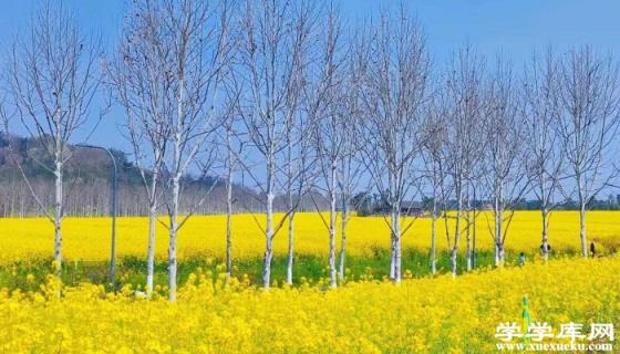 自駕江西婺源旅游攻略 自駕婺源旅游線路