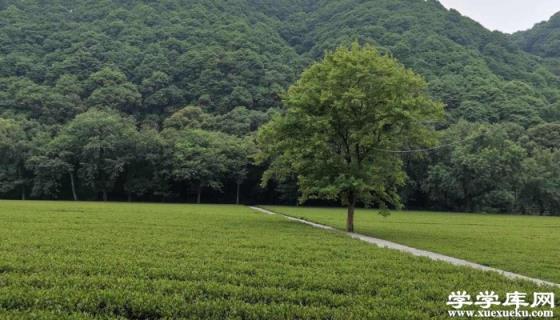 安吉百草園旅游攻略 浙江安吉百草園景點介紹