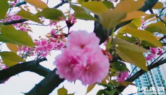 武漢旅游攻略三日游 武漢三日游最佳安排