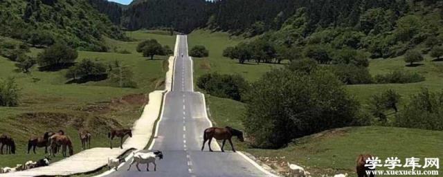 重慶武隆旅游攻略 自駕武隆一日游最佳攻略