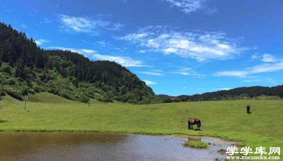 重慶武隆仙女山旅游攻略 重慶武隆仙女山旅游景點