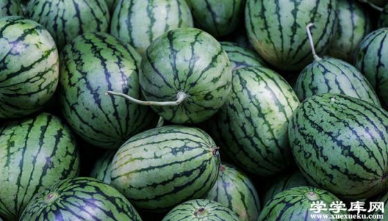 江蘇有哪些水果特產