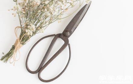 哈爾濱有哪些工藝品