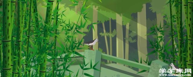 宜興竹海旅游攻略 宜興竹海有什么好玩的