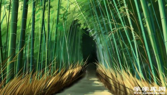 宜興竹海旅游攻略 宜興竹海有什么好玩的