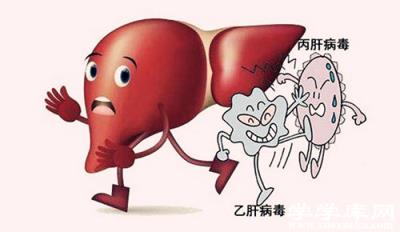 轉氨酶高是怎么回事 什么因素導致轉氨酶高