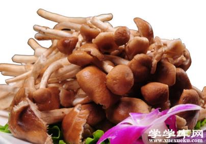 寶寶可以吃杏鮑菇嗎？吃杏鮑菇的禁忌