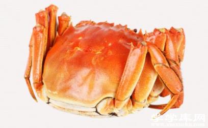 大閘蟹一人一次幾只為宜 吃大閘蟹前怎么清洗