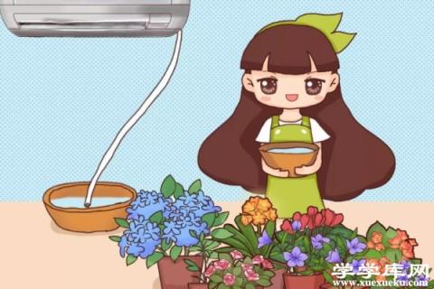 家家都有的廢水，竟是養花萬能水，養啥旺啥！