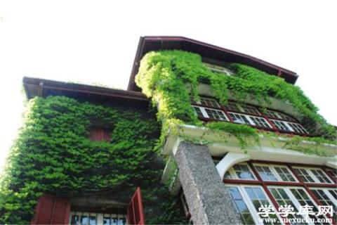 爬山虎怎么清除？