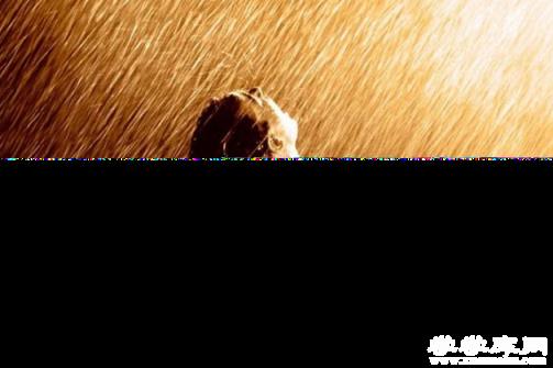 英語十大勵志電影推薦 影響力人生的電影，你看過幾部