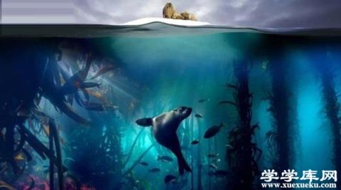 十大高分紀錄片推薦 豆瓣10大評分最高的紀錄片